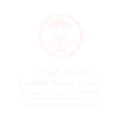 المركز الوطني لتنمية الحياة الفطرية